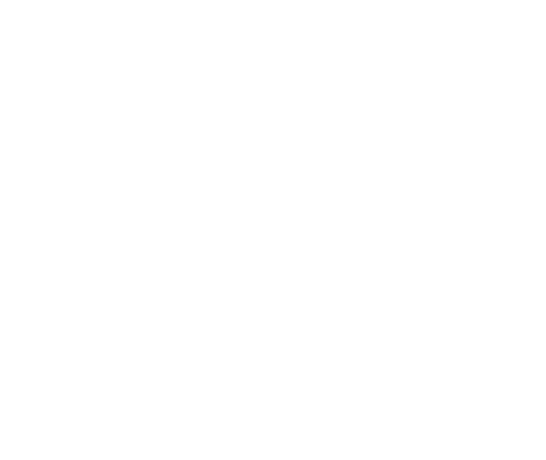 幸运飞行艇官方开奖记录体彩 zenith 160th logo